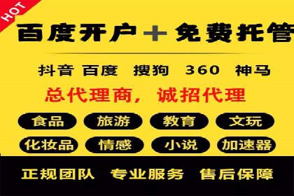 成功运用SEM服务实现品牌推广的案例分析