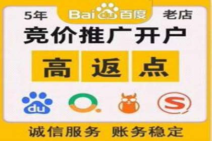深入了解SEM竞价代运营公司：成功背后的故事